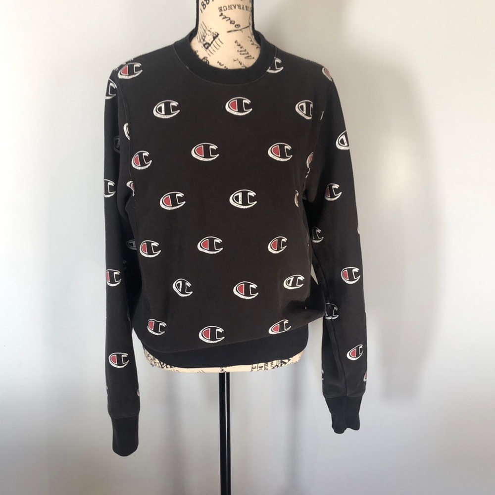 Champion womens size small crew neck sweater